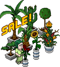 �ץ��ȡ�������