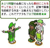 ��Ƽԥޥ˥奢��