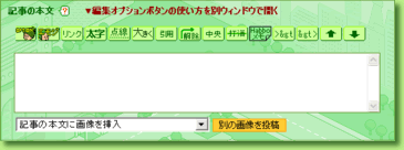 ��������ʸ